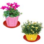 Kraft Seeds Multicolor Flower Pots With Bottom Tray 10 inch (Pack of 2)