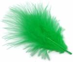 TIPTOP DECORATION Natural Dyed Green Flat Fluffy Turkey Feathers (Pack of 10) (5-6 Inches)