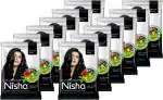Nisha Hair Color Henna Based Hair Powder Dye For Hair Coloring 25gm each pack (Pack of 12) (300 g)