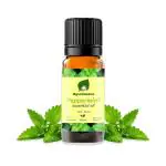 Ayurmeans Peppermint Essential Oil Wellness, Uplift, Pain & Breathe (10 ML)