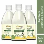 Body Wash - Zesty Lime & Tea Tree - Natural & Non Toxic - No Silicones, No Parabens - pH balanced - 500 ml X 3