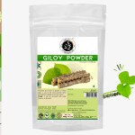 Organic Ayurvedistan Giloy Powder- 400g