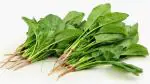 PLATONE Palak Spinach Palang Saag(Pack OfSeeds+Growing instruction)