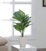 ARICKDECOR Artificial Money Plant Tree,Plant (60 CM without Pot,12 Leaves) | Lemon Blush | Ornamental Plant for Interior Decor/Home Decor/Office Dcor, Look & Feel