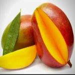 Exotica Orchids Pusa Manohari Mango plant-Grafted