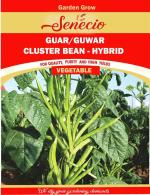 SENECIO Cluster Bean, Guwar Fali, Guar Seed - 50 Per Packet