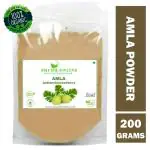 Shudh Online Amla Powder (200g) for Hair Growth, Drink, Eating and Face, Amala Powered Edible, Nellikai, Aawla, Aamla, Amloki, Usirikaya, Gooseberry