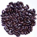 Green India Custard apple seeds-Sitaphal seeds (Annona squamosa)_200 gm