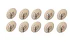 Carliber Plastic Adhesive Strong Round Wall Hooks For Clothes, Photo Frame And Bathroom Hanging Pack Of 6