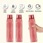 Milton Prime 1000 Pet Water Bottle, Set of 3, 1 Litre Each, Burgundy