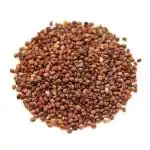 Nutrixia Mula Beej-Edible Beej Mooli - Beej Muli - Radish Seeds - Raphanus Sativus 50 Gms