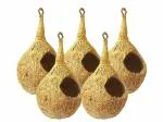 ZENRISE Coconut Fiber Coir Bird Nest House (Beige) - 5 Piece