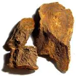 Xetomos Revand Chini Anantmool Hemidesmus indicus 200gm