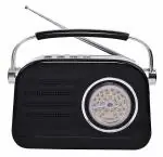 Pagaria Retro FM AM SW Portable Radio With Bluetooth And Usb