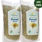 Farmbean Fennel Seeds 400 Gms | Saunf | Variyali | Sauf