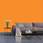 Jaamso Royals Orange PVC Plain Matt Wallpaper Self Adhesive Peel Stick Sticker 60 X 100 cm( 100 CM X 60 CM )