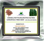 MGBN THE PATH FOR THE HEALTHIER LIFE WITH BEAUTY Ashoka, Nettilingam, Polyalthia Longifolia Tree Seed - 100 g (100 Seeds)