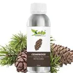 Kalp Cedarwood Essential Oil 100 Percent Pure, Natural, Undiluted Therapeutic Grade, 250 Ml