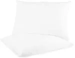 PumPum White Hollow Fibre Filled Pillow 16 x 24 inch (Set of 2)