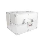 Clarabae Vanity Box for Women Makeup Organizer Box Clip-and-Go Makeup Bag with Four Tray & Mirror Elegant Closure Professional Travel Makeup Case Portable Artist Cosmetic Organizer Storage Bag (Silver)