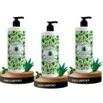 B&B Bliss & Blush Aloe Vera And Tulsi Special Shampoo - (Pack Of 3, Each Of 200Ml)