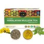 TEACURRY Himalayan Mullein Tea (1 Month Pack, 30 Tea Bags) - Helps with Asthma, Lung Detox, Immunity