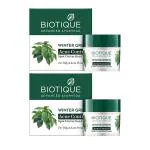 Biotique Winter Green Spot Correcting Anti Acne Cream, 15g (Pack of 2)