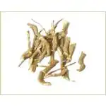 Xetomos Punarnava Natural Gadahpurna Boerhaavia Diffusa root 100 Gram