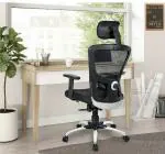 Apex by Savya Home Beatle High Back Black Office Chair with Adjustable Armrest