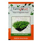 Farmgokart |10 Gms CELERY MICRO GREEN AND SPROUTING SEEDS