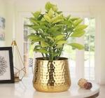 SABRI METAL Gold Metal Planter Hammered Finish with Elegant EPL Brass Finish, Sturdy Iron Material for Indoor and Outdoor Decor