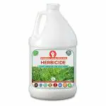 Erwon Herbicide, Organic Powerful Liquid Herbicide for Removing Wild Herbs (1000 ml)