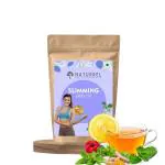 Naturrel Slimming Green Tea Pouch 100 G