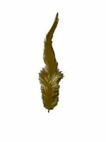 TIPTOP DECORATION Natural Dyed Dark Green Pointed Feathers (Pack of 50)
