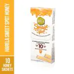 JUST GOOD FOOD CO.Natural Honey Sticks| No Preservatives, No sugar adulteration| 10 Sticks