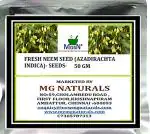 MGBN THE PATH FOR THE HEALTHIER LIFE WITH BEAUTY Fresh Neem Seed - 50 g (18 Seeds) (with Free Plant Seeds)