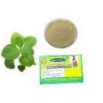 AGASTHIYAR HERBAL PRODUCTS Karpuravalli Leaf Powder (Pack Of 4 )