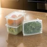 Netrowel Plastic Fridge Organizers Storage Box Container Kitchen Freezer Food Basket, Vegetables, Fruits, Fish, Meat, Egg, Dry Fruit, Airtight Lid, Multi Uses