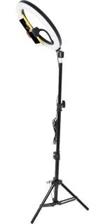 Webilla 10 Inch Led Selfie Ring Light With Stand, Big Led Camera Light With Cool Warm Mix Light, Led Circle Light