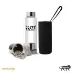 Fuze Borosilicate Glass Bottle with Removable Filter & 1 pack of Alkaline Balls(DarkGreen)500ML
