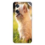 GADGETSWRAP Printed Vinyl Skin Sticker for Oppo A77s - white persian kitten outdoors