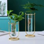 GIG Handicrafts Desktop Glass Planter Hydroponics Vase Glass Propagation Station with Modern Creative Metal Frame Test Tube Vase for Home Office Decor Table Top Set of 2