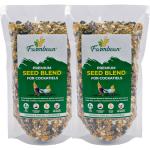Farmbean Premium Seed Blend of 9 Grains & Nuts, Fortified with Spirulina, Bird Food for Cockatiels, 900 Gms