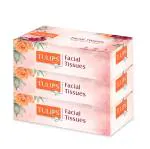 Tulips Premium Facial Dry Tissue Paper, made with 100 % Virgin Pulp, 80 Pulls 3 Ply
