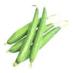 SENECIO Sponge Gourd, Turai, Galka Seed - 15 Per Packet