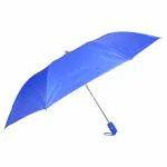 Fendo 2 Fold Umbrella For Men's and Women's | Wind And RainProof Umbrella - 2 Fold With Auto Open And Close (Royal Blue,24.5 In)