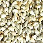 Xetomos Safflower Seed Carthamus tinctorius 150g Other names are Kusum Seed, Karan Beej, Karad Seeds, Safflower Seeds, Kusum Beej, Carthamus Tinctorius