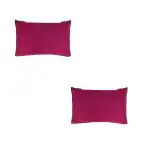 ORCHEED Soft Microfiber Anti Stress Bed Pillow for Sleeping & Neck Pain Relief for Back, Side & Stomach Sleeper, 16x24 Inches, Purple, Pillow Set of 2