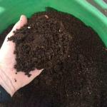 Real Trust Organic Vermicompost, Enriched With Desi Cow Urine And Neem Powder- 5Kg