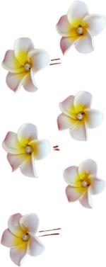 Bengcraft White Hair Clip For Women (Pack Of 6)